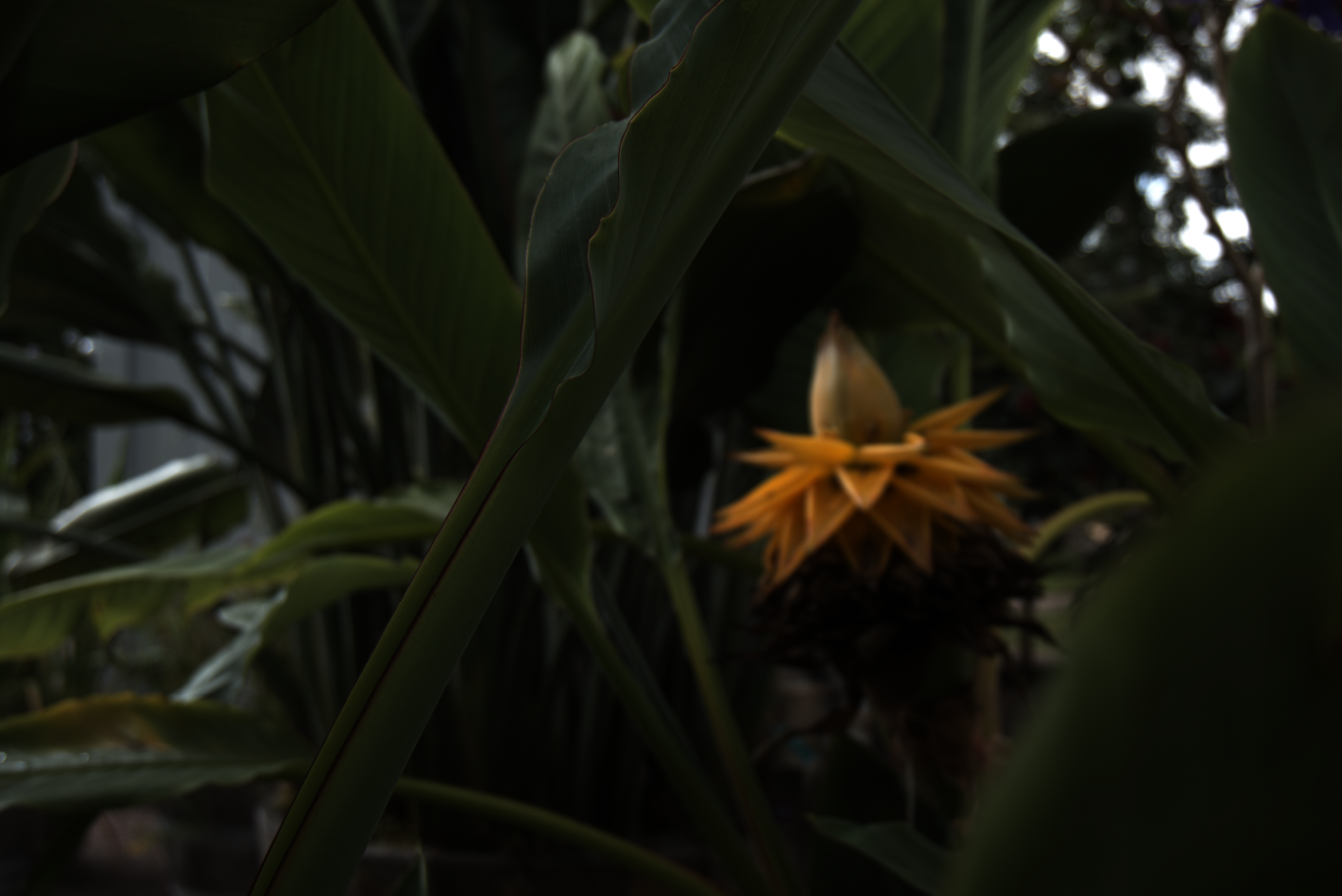 2025-08-01_170145_0000100e_ILCE-5000_6098_0-_R2.890_B1.530_lightmode_1.png